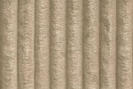 Tilia-11