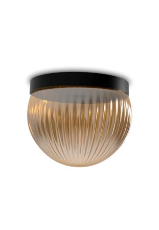 Lampa sufitowa wewnętrzna z czarną podstawą i przezroczystym szkłem fume ROI SIMPLE - G9 220-240V IP20 - ROBIN