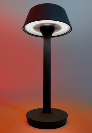 Przenośna lampa stołowa FIREFLY IN THE SKY C806 mat black - PANZERI