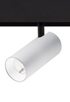 Oprawa oświetleniowa regulowany reflektor ASTORIA 5 white - LED 7,5W, 2700K, Ra>90, 508lm, 48V,  DC dimmable (DALI) - PANZERI 