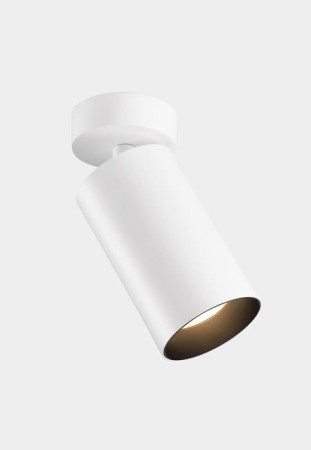 Oprawa oświetleniowa natynkowa wewnętrzna ATOM biały - ø75 36V/350mA 13.5W 2700K CRI 90 16.1º 1634lm - LEDS C4