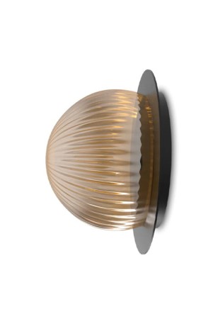 Lampa ścienna wewnętrzna z czarną podstawą i przezroczystym szkłem fume ROI DISC - G9, 220-240V, IP20 - ROBIN 