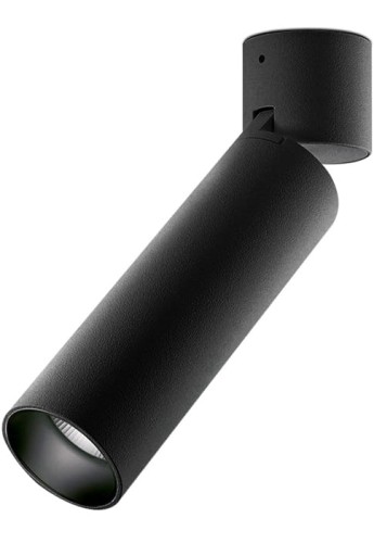 Oprawa oświetleniowa wewnętrzna sufitowa LOLA P12002 black - PANZERI