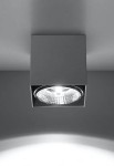Oprawa sufitowa BLAKE szary - GU10/ES111, 1x10W LED, 220-230V, IP20